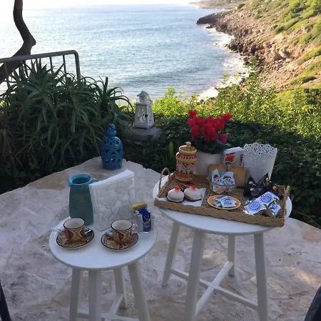 Viadelmare Patu