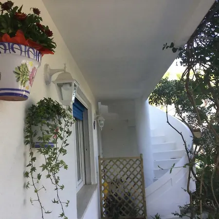 Viadelmare Patu