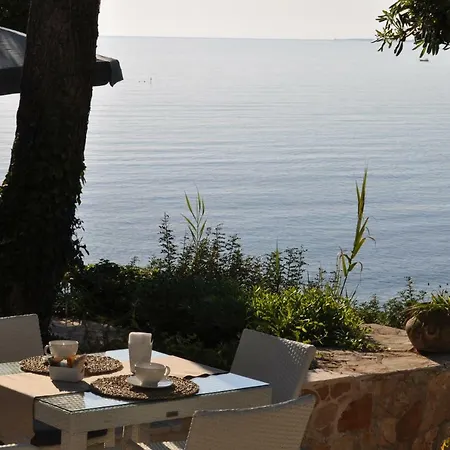 Viadelmare